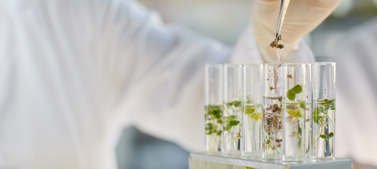 생명과학과 로고