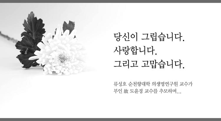 "도 교수는 후학에게 '자부심' 전하려 했습니다"
