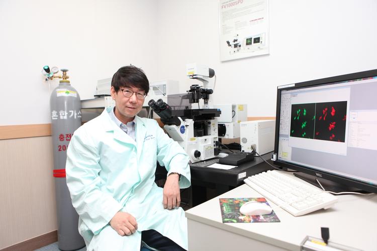 다운 증후군과 취약 X 염색체 증후군의 지적장애 초래하는 핵심 유전자 기능 밝혀