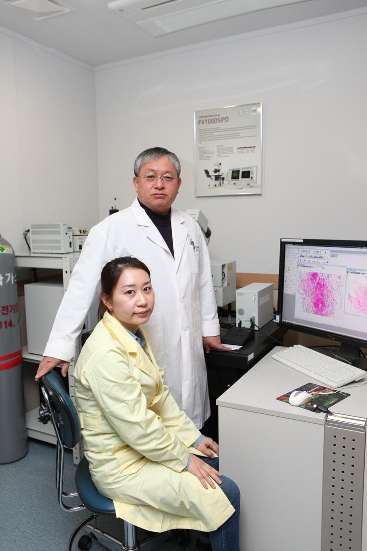 혈관과 뼈 형성을 촉진하는 단백질 발견