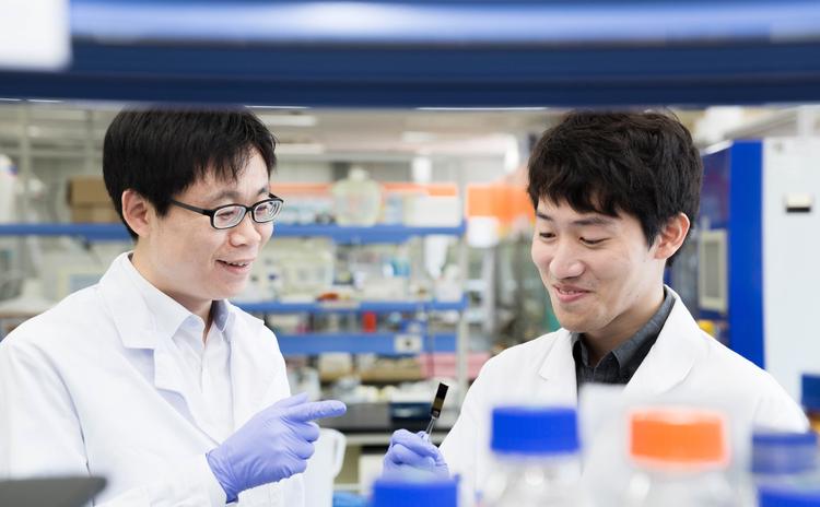 신개념 고성능 발광구조체 개발