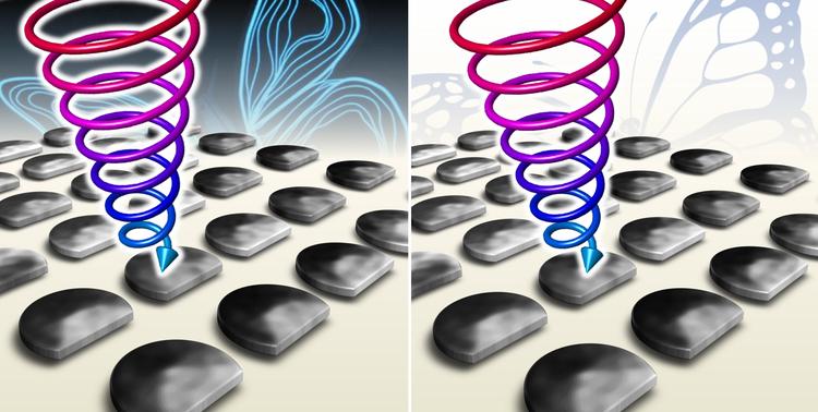 나노 세상에도 ‘나비효과’ 있다