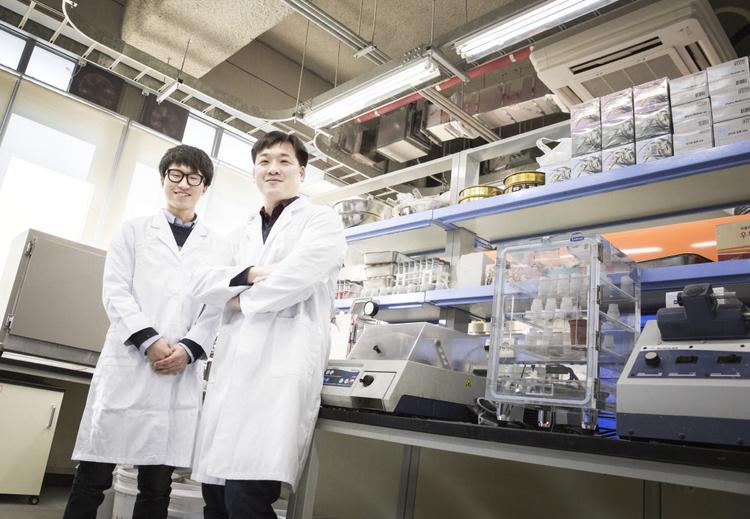 시멘트 없이 저렴하게 건물 짓고, 환경도 보호한다