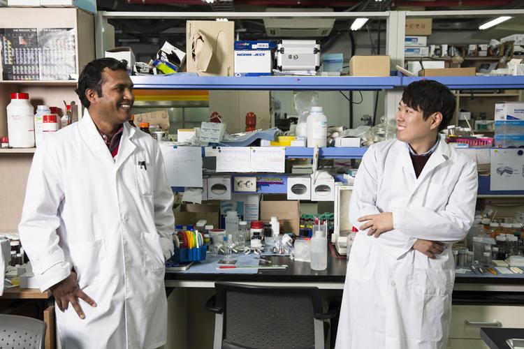 “망간 넣었더니 더 좋은 연료극이 탄생했어요”