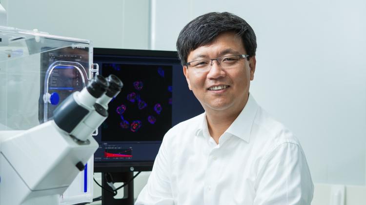 암세포 골라 잡는 ‘표적 기술’ 꿈꾼다