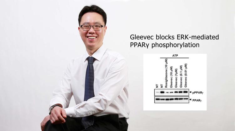 백혈병 치료제로 당뇨병 고친다… ‘글리벡’의 재발견
