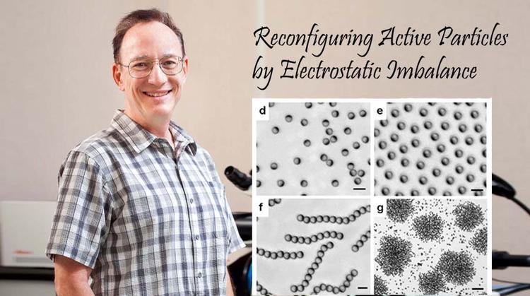 벌과 새처럼 팀웍으로 움직이는 ‘스마트 물질’