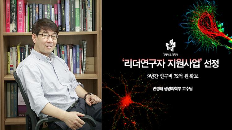 세포핵서 단백질이 합성된다면?… 단백질 연구의 새 페이지 연다