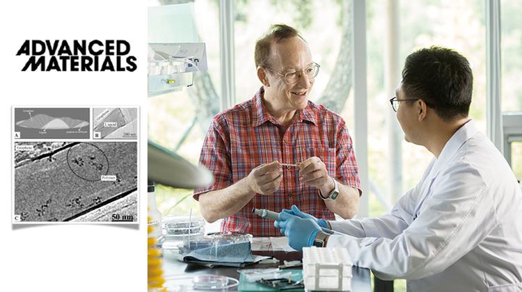 고분자 움직임 전자현미경으로 실시간 관찰한다