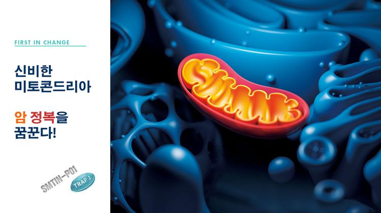 알아두면 쓸모 있는 미토콘드리아와 암