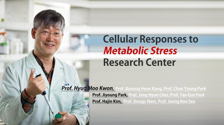 만병의 근원 ‘대사 스트레스’ 연구 시작된다