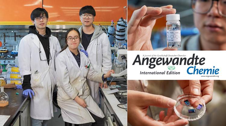 고분자의 불규칙한 배열이 ‘유기 반도체’ 특성 높인다