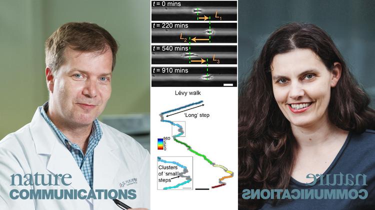 전이 암세포는 포식자가 먹이 찾듯 이동한다