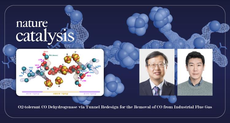 제철산업 현장에 바로 사용 가능한 고안정성 산업효소 개발