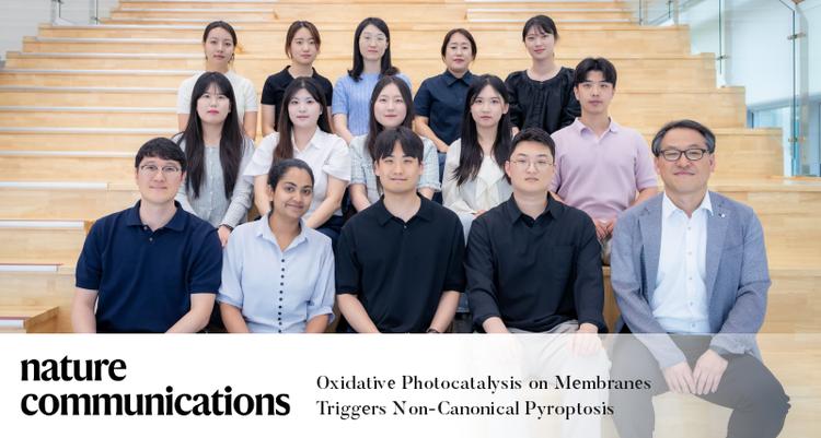 물분해로 암세포 사멸을 유도한다!