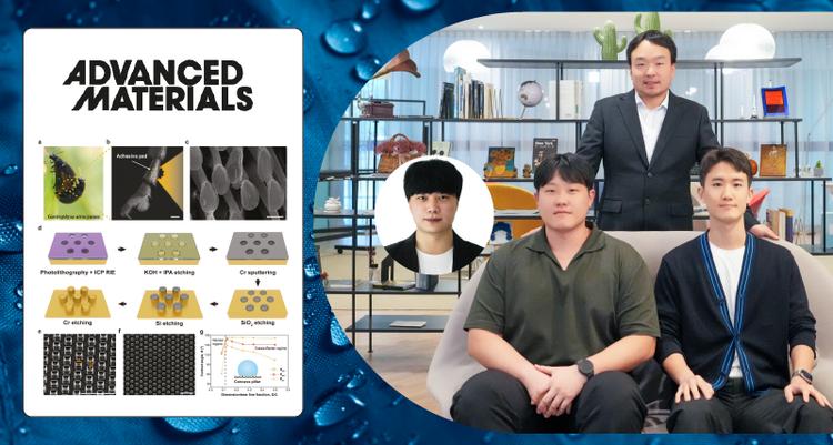 잎벌레 모방 초발수 표면 “물방울 충격에도 견딘다”