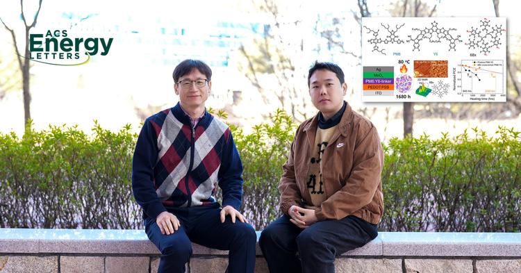 0.05%만 더해도 수명 성능 50% 이상 개선... 유기태양전지 첨가제 개발