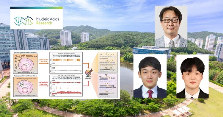 ‘DNA와 단백질 만남 장소’... 싸고 효율적으로 찾아낸다!