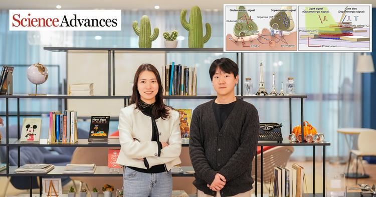 사람 뇌 신경 전달 원리 닮은 로봇 비전 센서 개발