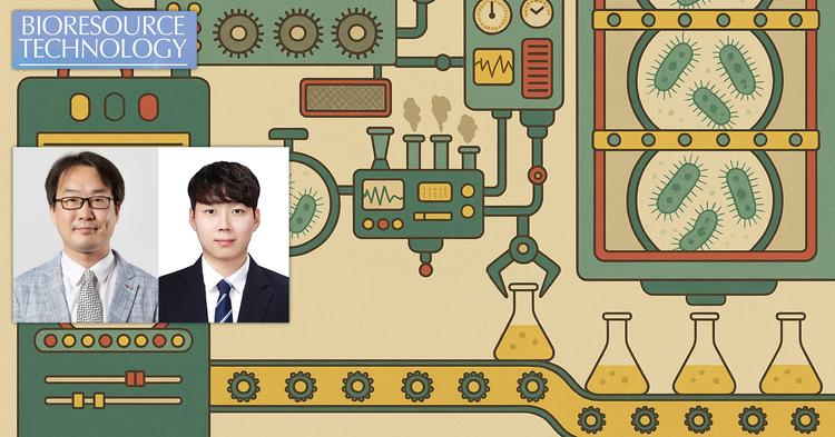 대장균이 식초 ‘소화’해 소재 원료 만든다!... 실험실 진화로 생산성↑