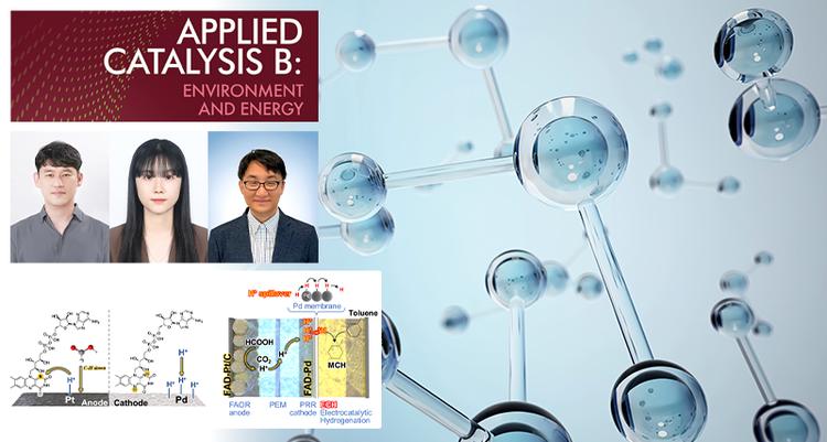 세포 에너지 생산 돕는 분자로 그린수소 생산·저장 비용 낮춘다!