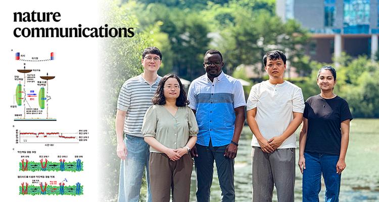 세포 막단백질의 ‘짝짓기’, 지퍼 잠그듯 차근차근 결합한다!