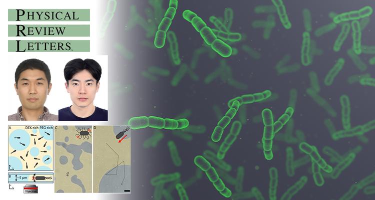 티끌보다 작은 세균의 힘, 끼리끼리 노는 통계 분포 법칙 깨긴 충분했다!