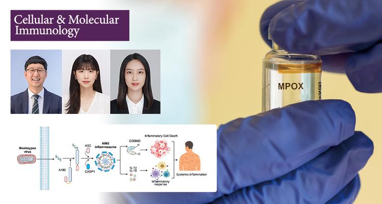 원숭이두창 중증화의 '방아쇠' 역할 단백질 센서 찾았다!