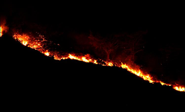 [이명인의 기후와 환경(1)]산불은 기후변화와 무관하지 않다