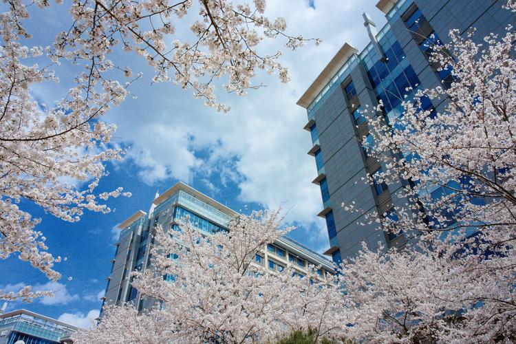 연구중심대학이 기술 혁신의 산실