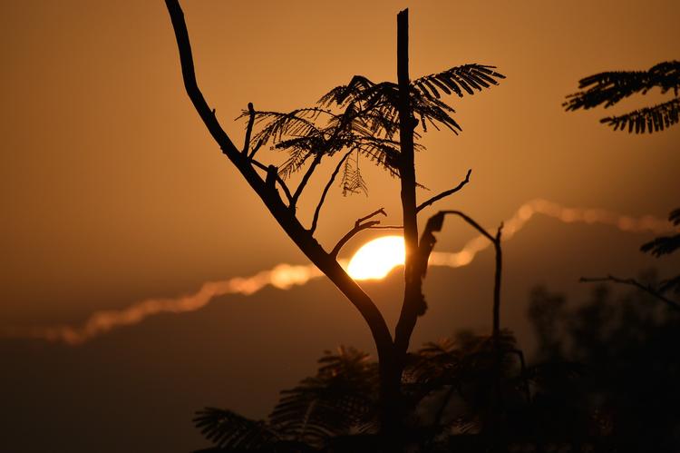 [최진숙의 문화모퉁이(20)]기다림