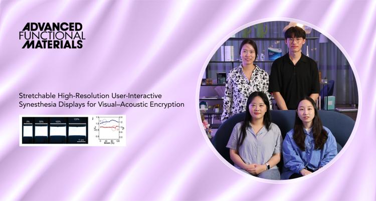 New Study Unveils Stretchable High-Resolution User-Interactive Synesthesia Displays for Visual–Acoustic Encryption