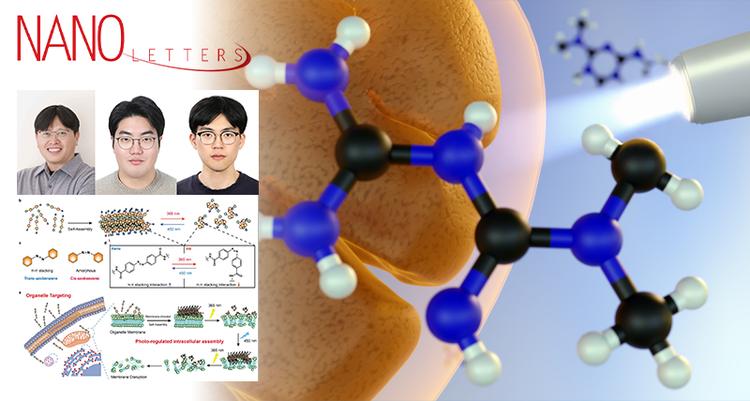 Innovative Light-Responsive Molecule Enables Reversible Cell Death Control Using Visible and UV Light